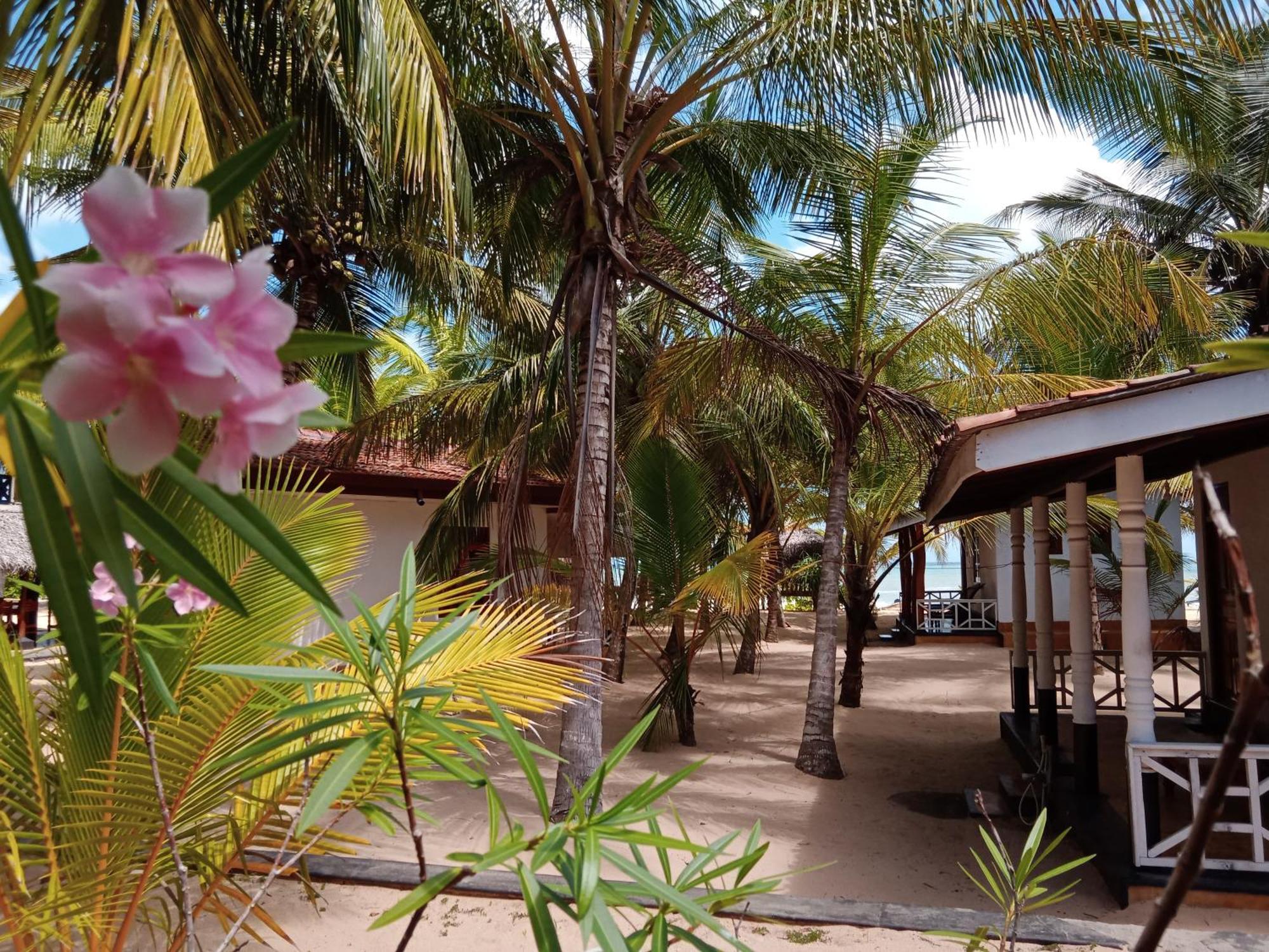 Ibisbird Beach Bungalows, Sport, Spa And Restaurant タンガラ エクステリア 写真