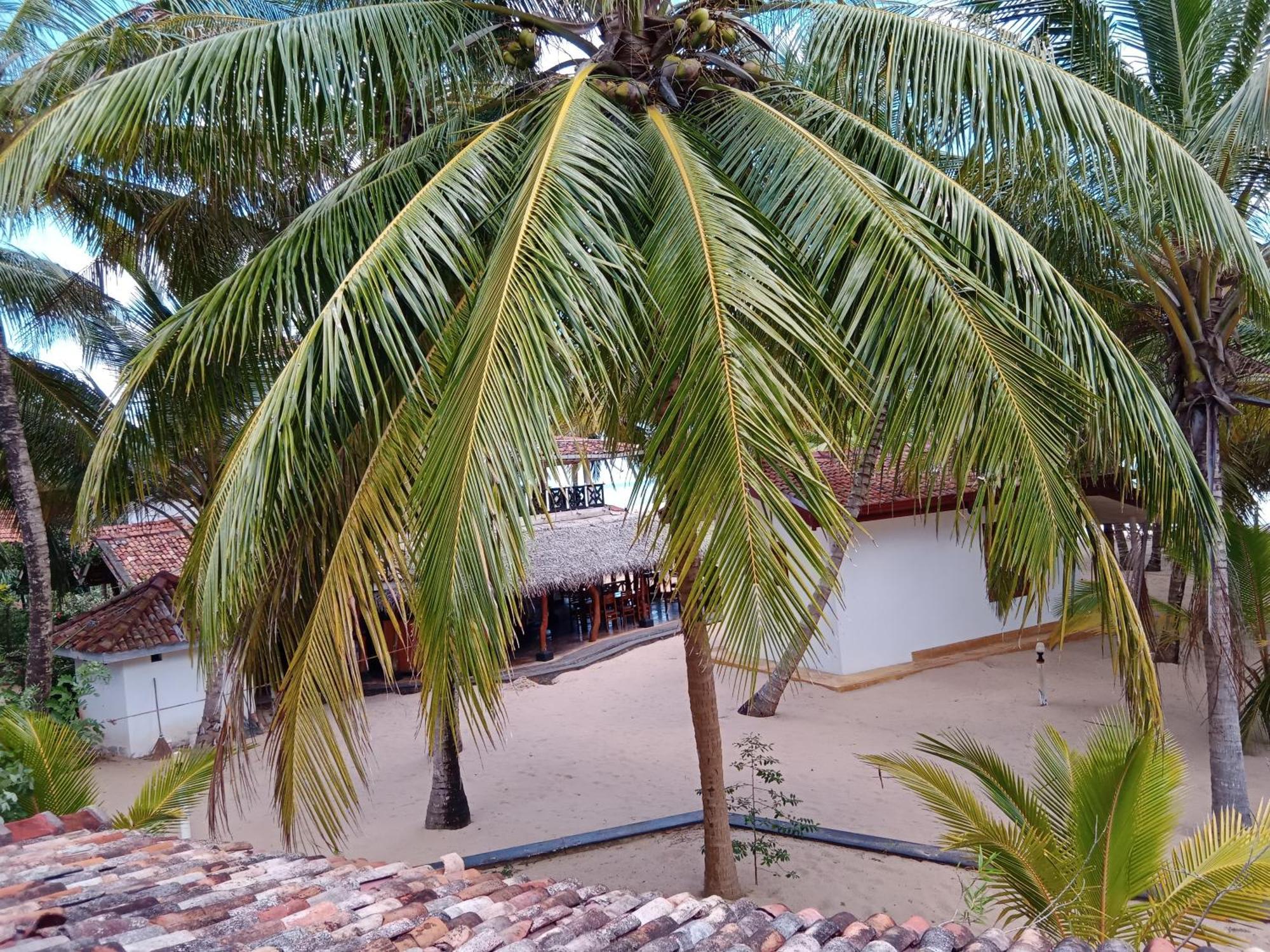 Ibisbird Beach Bungalows, Sport, Spa And Restaurant タンガラ エクステリア 写真