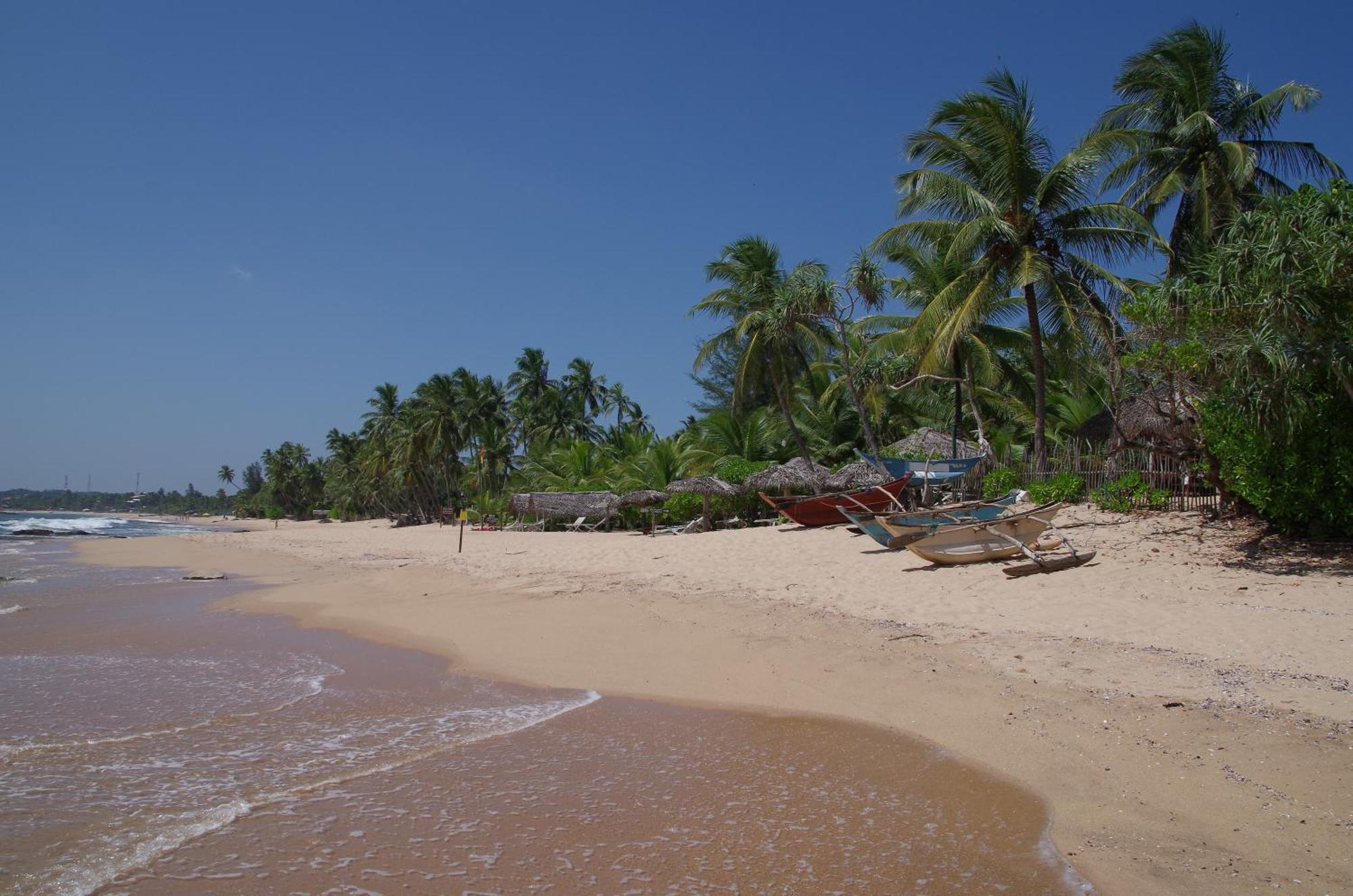 Ibisbird Beach Bungalows, Sport, Spa And Restaurant タンガラ エクステリア 写真